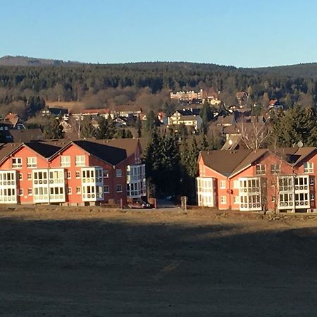 Apartment Gosch An Der Skiwiese Braunlage Εξωτερικό φωτογραφία